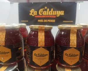 MIEL LA CALDUYA 1kg