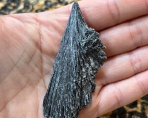 MASIVO DE TARAMITA (ESCOBA DE BRUJA)