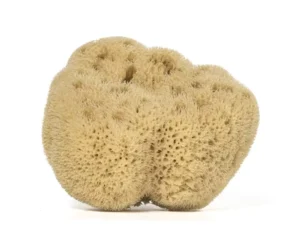 ESPONJA DEL MAR CARIBE