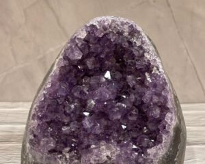 GEODA AMATISTA