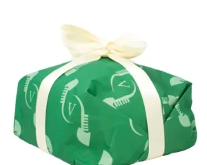 Panettone Vegano de Espelta y Chocolate Pasticceria Venezia Bio 750g